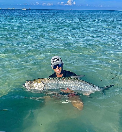 Tarpon
