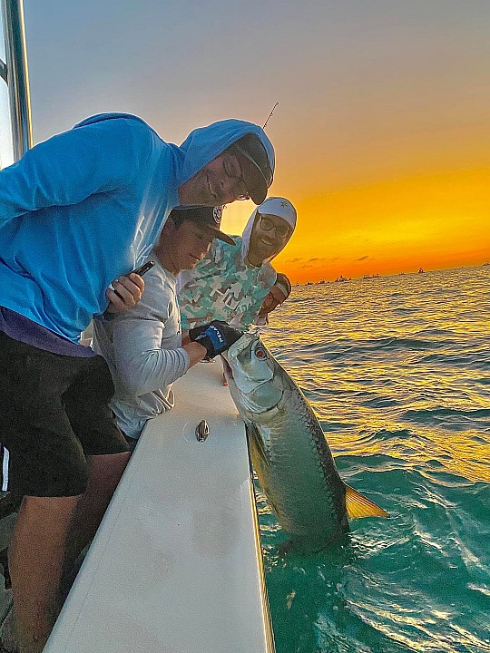 Tarpon